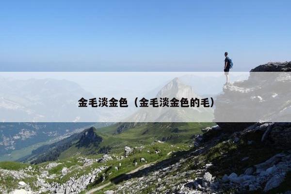 金毛淡金色（金毛淡金色的毛）