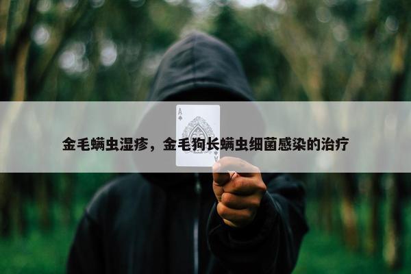 金毛螨虫湿疹，金毛狗长螨虫细菌感染的治疗