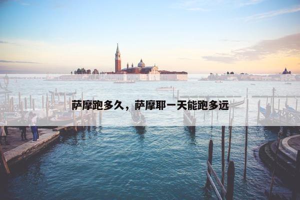 萨摩跑多久，萨摩耶一天能跑多远