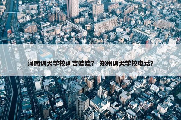 河南训犬学校训吉娃娃？ 郑州训犬学校电话？