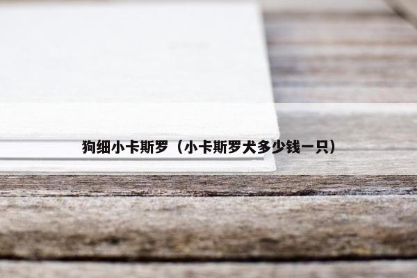 狗细小卡斯罗（小卡斯罗犬多少钱一只）