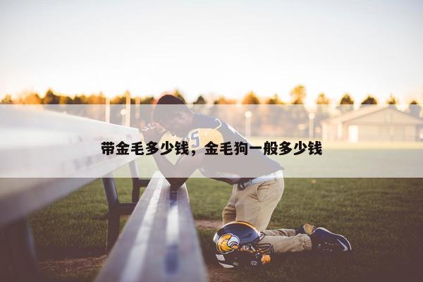 带金毛多少钱，金毛狗一般多少钱