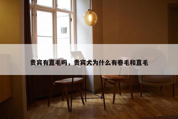 贵宾有直毛吗，贵宾犬为什么有卷毛和直毛