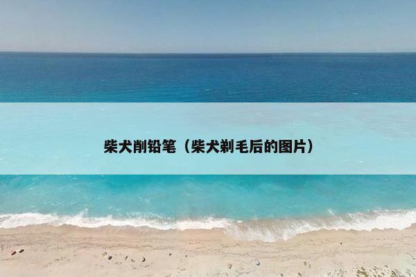 柴犬削铅笔（柴犬剃毛后的图片）