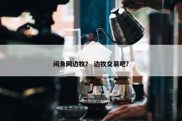闲鱼网边牧？ 边牧交易吧？