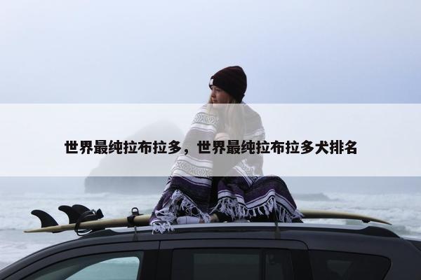 世界最纯拉布拉多，世界最纯拉布拉多犬排名