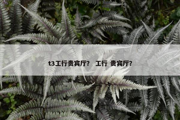 t3工行贵宾厅？ 工行 贵宾厅？