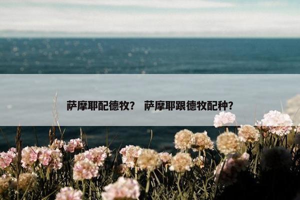 萨摩耶配德牧？ 萨摩耶跟德牧配种？