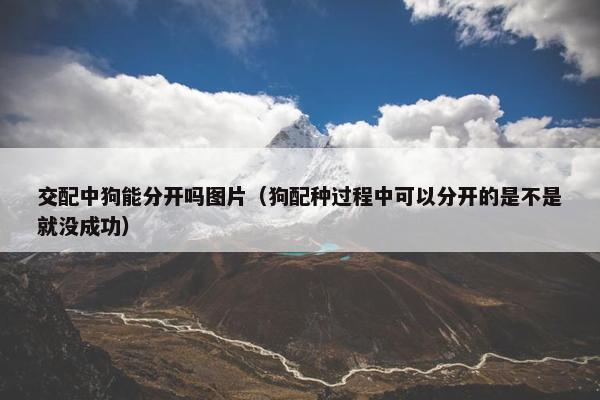 交配中狗能分开吗图片（狗配种过程中可以分开的是不是就没成功）