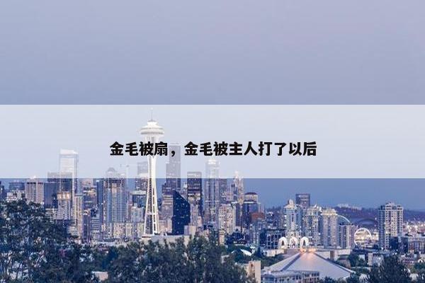 金毛被扇，金毛被主人打了以后