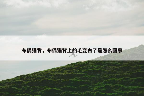 布偶猫背，布偶猫背上的毛变白了是怎么回事