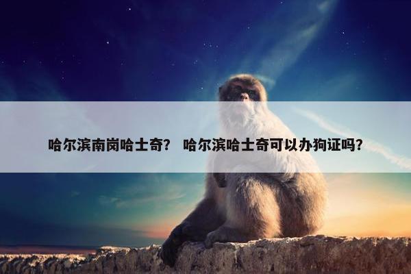 哈尔滨南岗哈士奇？ 哈尔滨哈士奇可以办狗证吗？