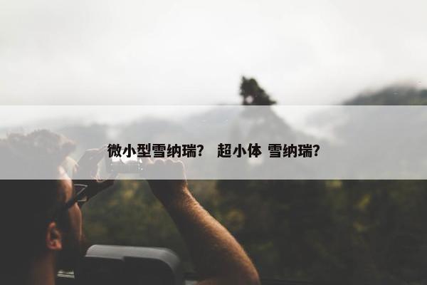 微小型雪纳瑞？ 超小体 雪纳瑞？