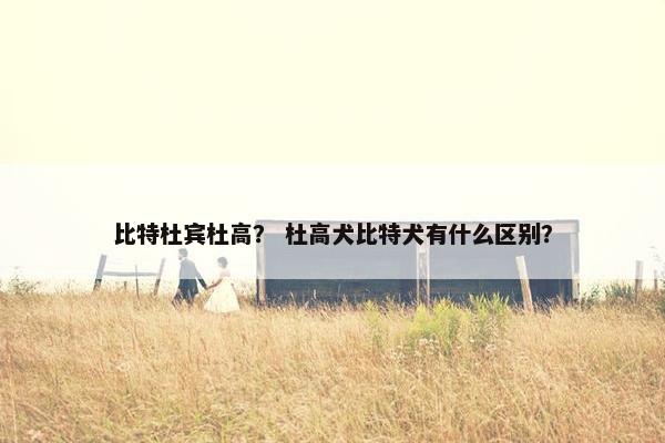 比特杜宾杜高？ 杜高犬比特犬有什么区别？