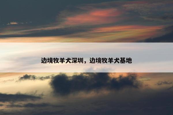 边境牧羊犬深圳，边境牧羊犬基地