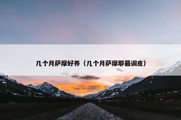 几个月萨摩好养（几个月萨摩耶最调皮）