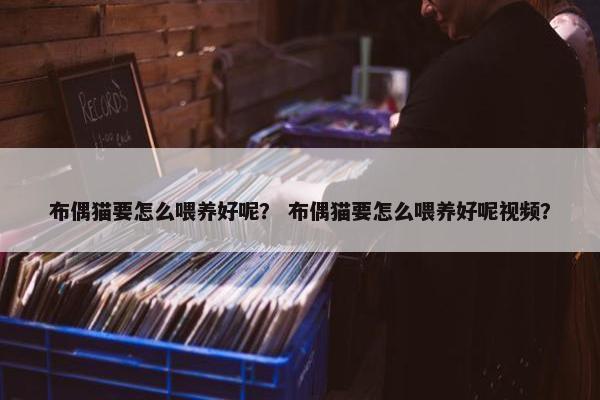布偶猫要怎么喂养好呢？ 布偶猫要怎么喂养好呢视频？
