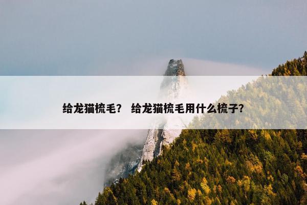 给龙猫梳毛？ 给龙猫梳毛用什么梳子？