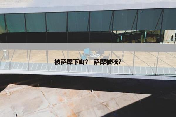 被萨摩下山？ 萨摩被咬？