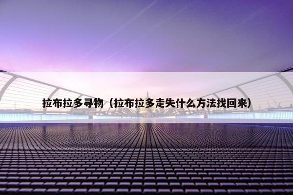 拉布拉多寻物（拉布拉多走失什么方法找回来）