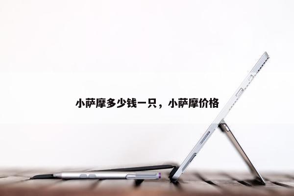 小萨摩多少钱一只，小萨摩价格