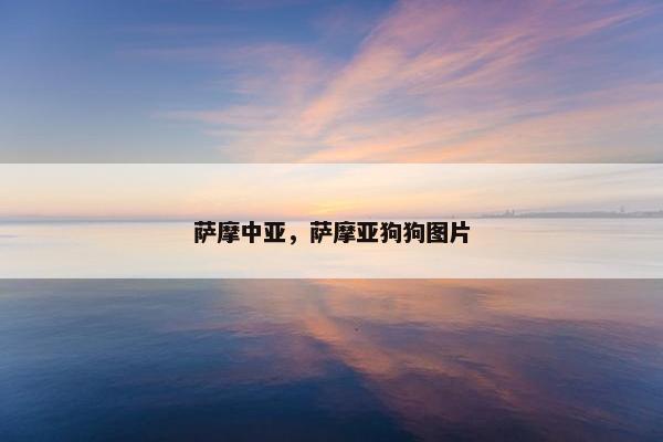 萨摩中亚，萨摩亚狗狗图片
