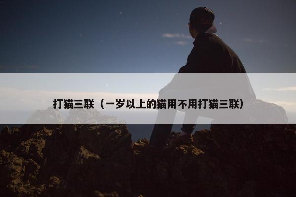打猫三联（一岁以上的猫用不用打猫三联）