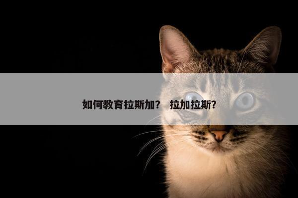 如何教育拉斯加？ 拉加拉斯？