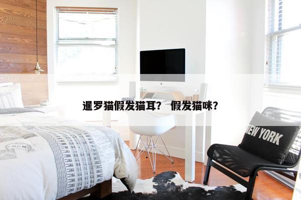 暹罗猫假发猫耳？ 假发猫咪？