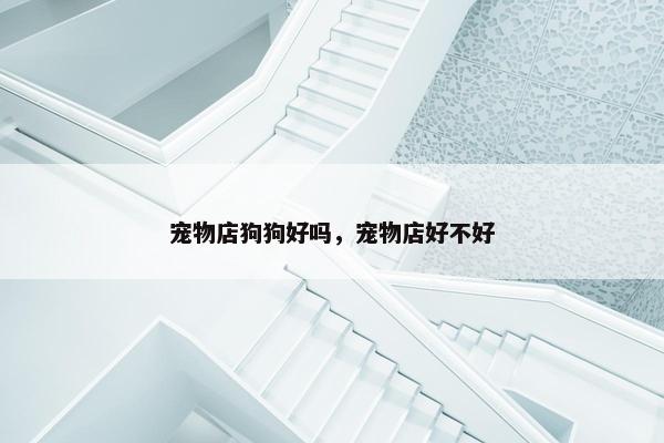 宠物店狗狗好吗，宠物店好不好
