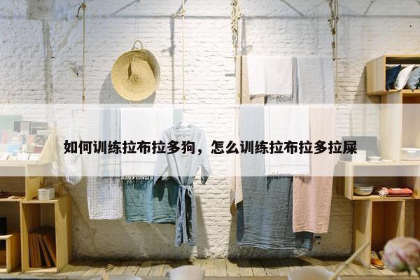 如何训练拉布拉多狗，怎么训练拉布拉多拉屎