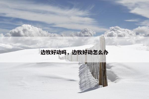 边牧好动吗，边牧好动怎么办