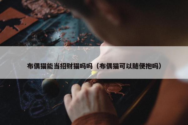布偶猫能当招财猫吗吗（布偶猫可以随便抱吗）
