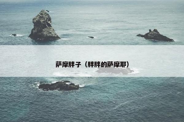 萨摩胖子（胖胖的萨摩耶）