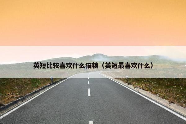 英短比较喜欢什么猫粮（英短最喜欢什么）