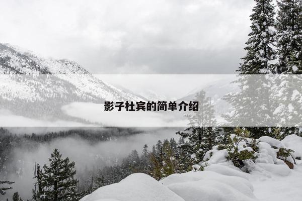 影子杜宾的简单介绍