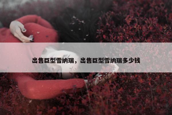 出售巨型雪纳瑞，出售巨型雪纳瑞多少钱