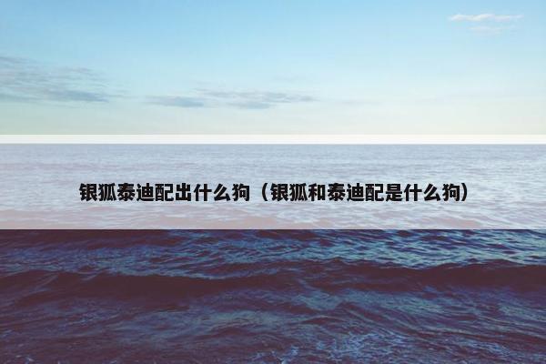 银狐泰迪配出什么狗（银狐和泰迪配是什么狗）