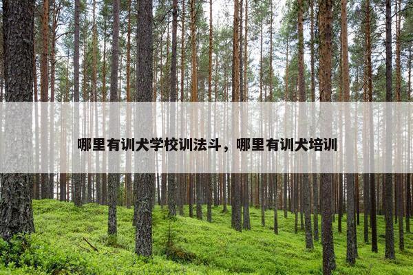 哪里有训犬学校训法斗，哪里有训犬培训