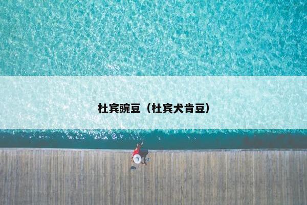 杜宾豌豆（杜宾犬肯豆）