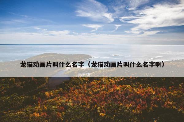龙猫动画片叫什么名字（龙猫动画片叫什么名字啊）