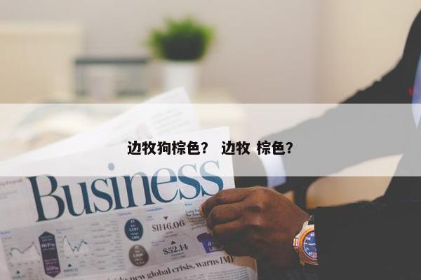 边牧狗棕色？ 边牧 棕色？