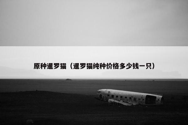 原种暹罗猫（暹罗猫纯种价格多少钱一只）