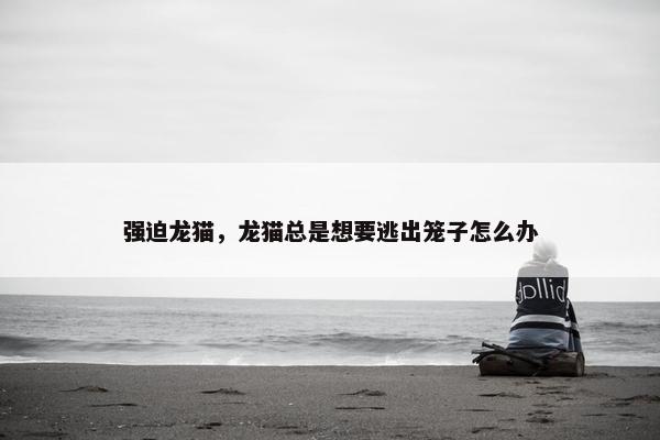 强迫龙猫，龙猫总是想要逃出笼子怎么办