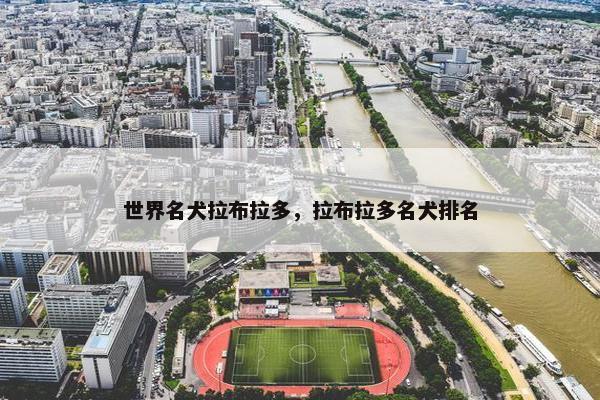世界名犬拉布拉多，拉布拉多名犬排名
