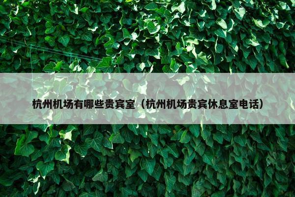 杭州机场有哪些贵宾室（杭州机场贵宾休息室电话）