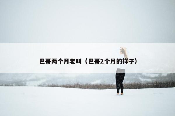 巴哥两个月老叫（巴哥2个月的样子）