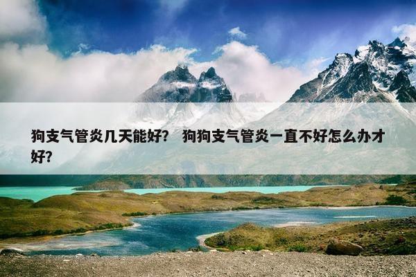 狗支气管炎几天能好？ 狗狗支气管炎一直不好怎么办才好？