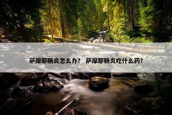 萨摩耶肠炎怎么办？ 萨摩耶肠炎吃什么药？
