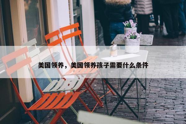 美国领养，美国领养孩子需要什么条件